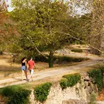 Chateau De Villarlong