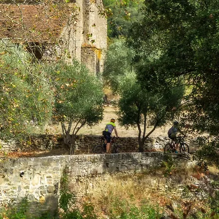 Chateau De Villarlong Villarzel-Cabardes